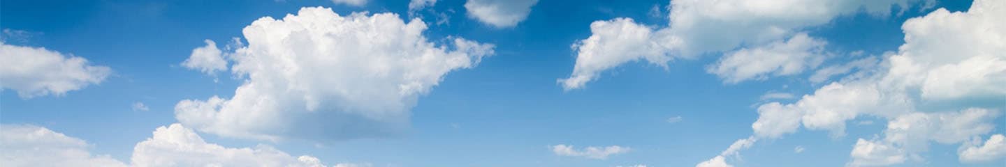 Overcome Nephophobia - Don't be a Shadow IT Ostrich!